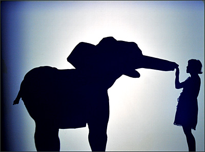 Shadowland auf Tour